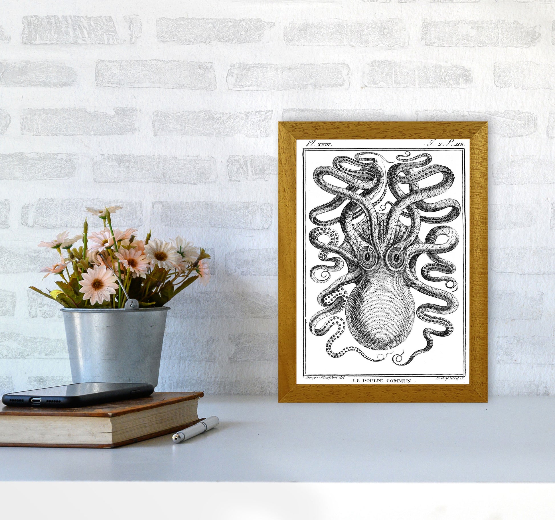 White Vintage Octopus Art Print by Jason Stanley A4 Print Only