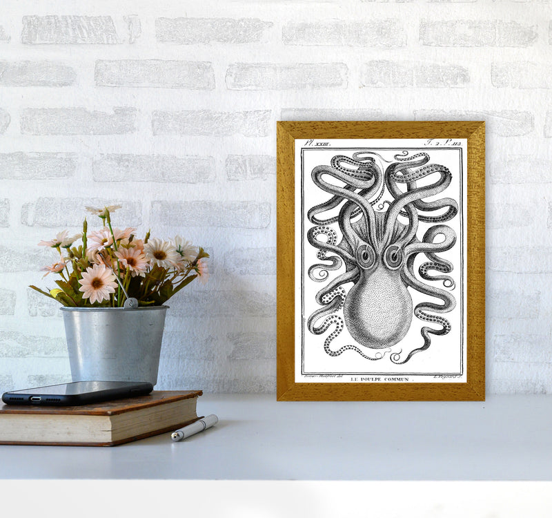 White Vintage Octopus Art Print by Jason Stanley A4 Print Only