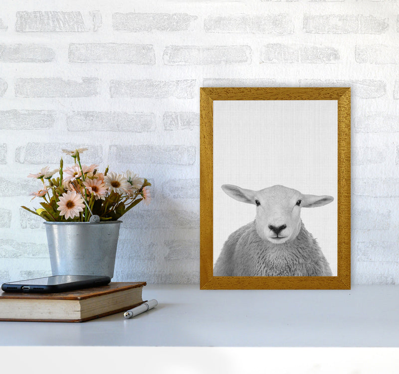 Trust This Wise Sheep Art Print by Jason Stanley A4 Print Only