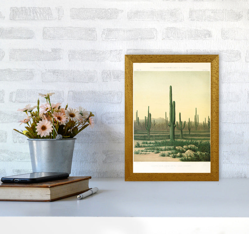 Vintage Desert Cactus Art Print by Jason Stanley A4 Print Only