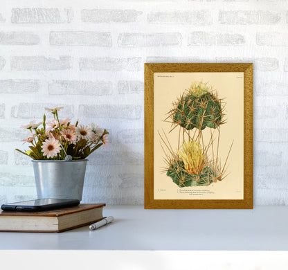 Cactus Series 10 Art Print by Jason Stanley A4 Print Only