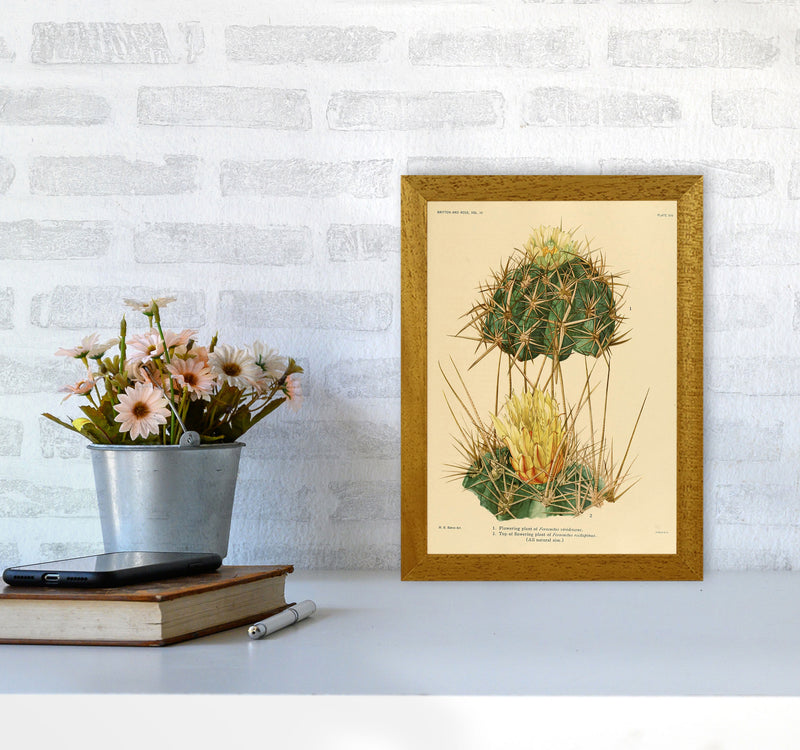 Cactus Series 10 Art Print by Jason Stanley A4 Print Only