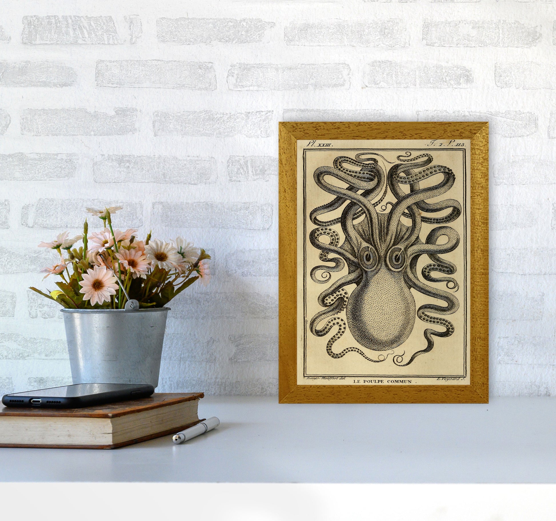 Vintage Octopus 2 Art Print by Jason Stanley A4 Print Only