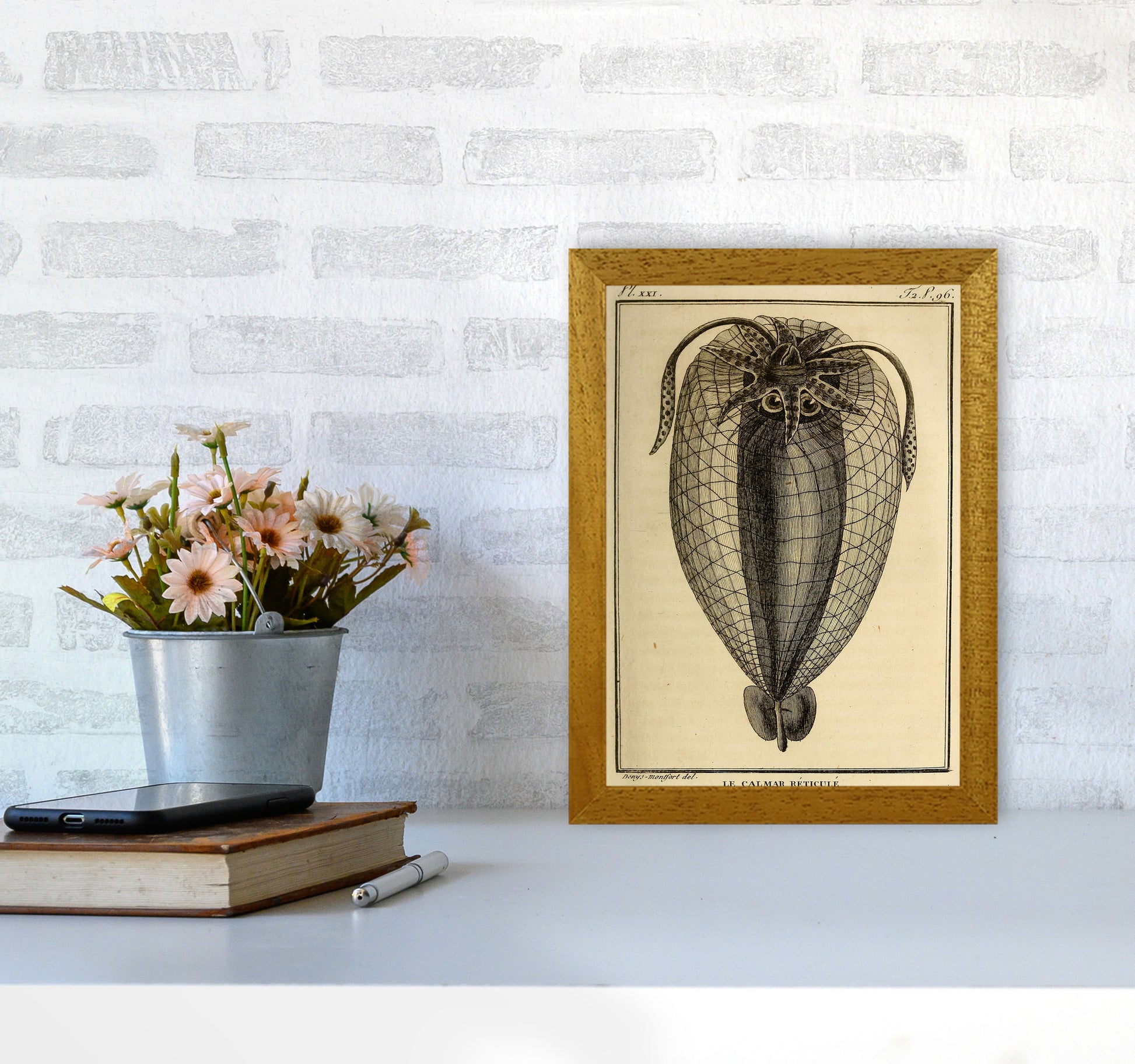 Vintage Squid 4 Art Print by Jason Stanley A4 Print Only