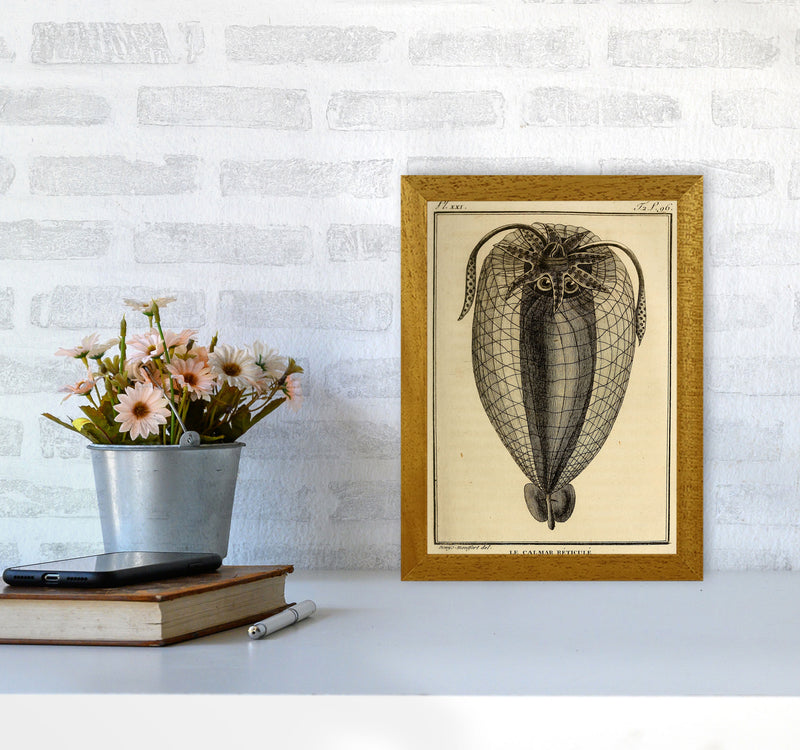 Vintage Squid 4 Art Print by Jason Stanley A4 Print Only
