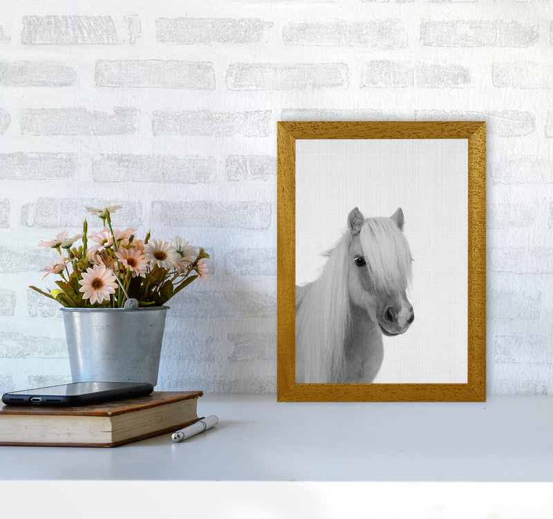 Stay Gold Pony Boy Art Print by Jason Stanley A4 Print Only