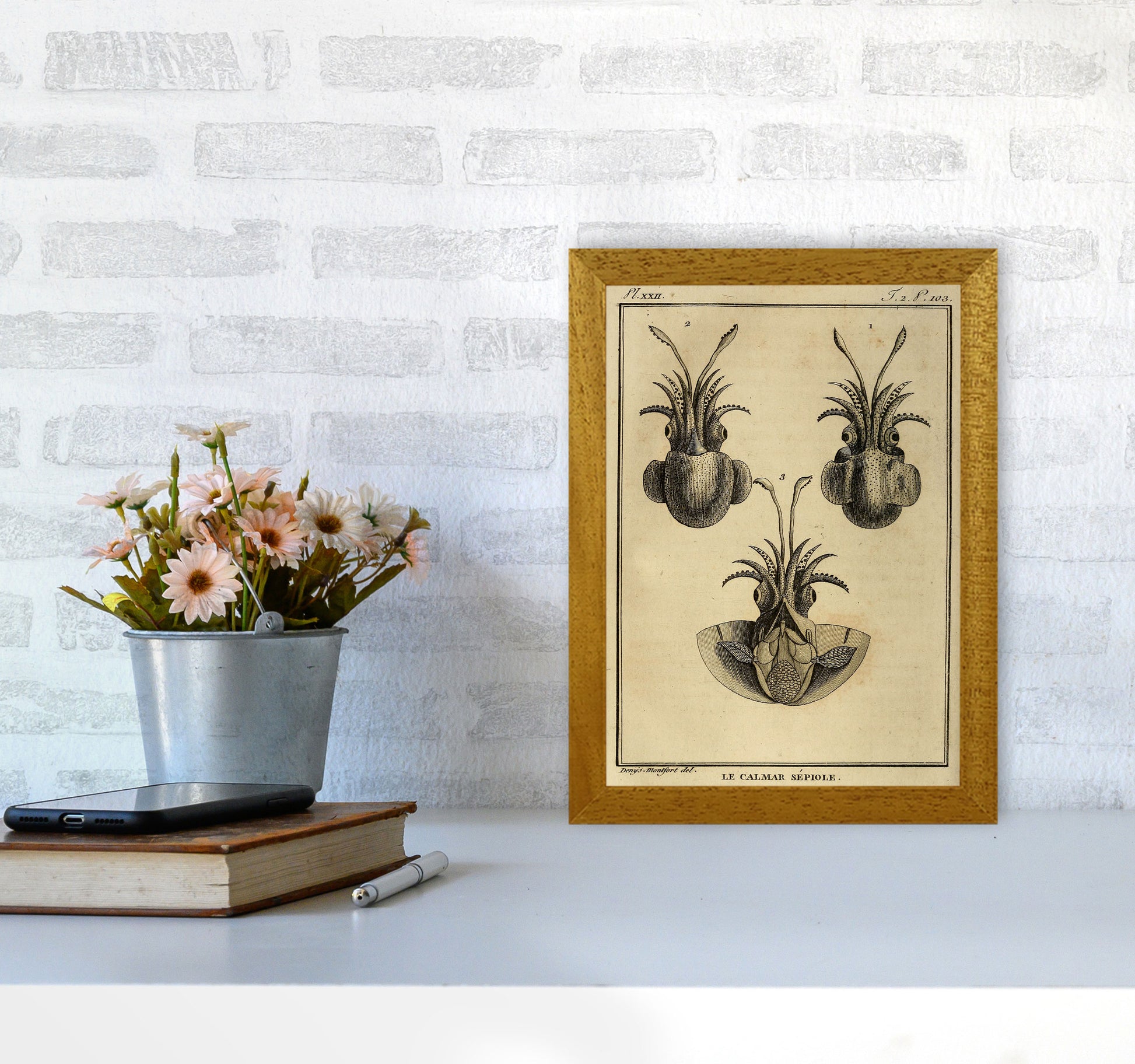 Vintage Squid 3 Art Print by Jason Stanley A4 Print Only