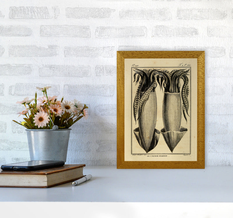 Vintage Squid 5 Art Print by Jason Stanley A4 Print Only