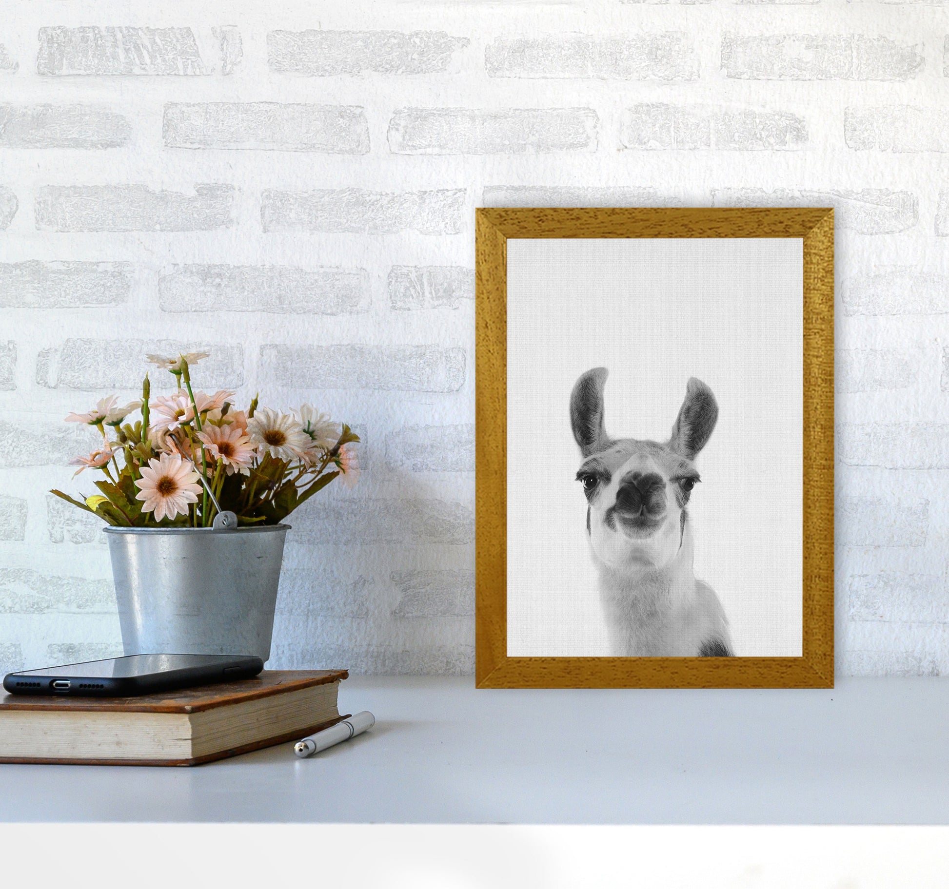 Llama Art Print by Jason Stanley A4 Print Only