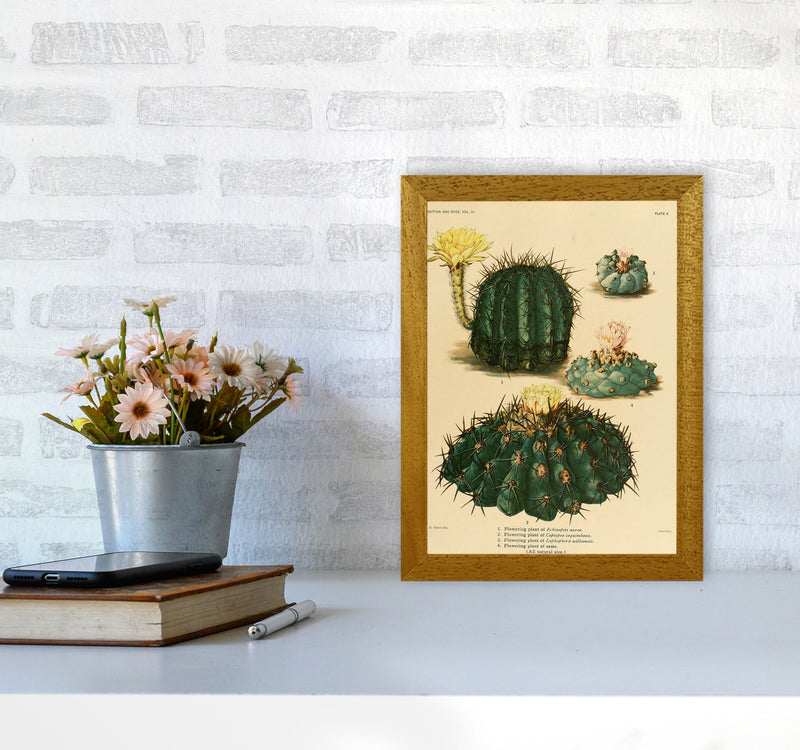 Cactus Series8 Art Print by Jason Stanley A4 Print Only