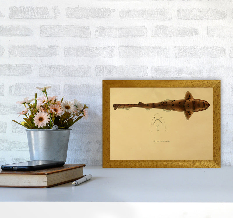 Shark Series 2 Art Print by Jason Stanley A4 Print Only