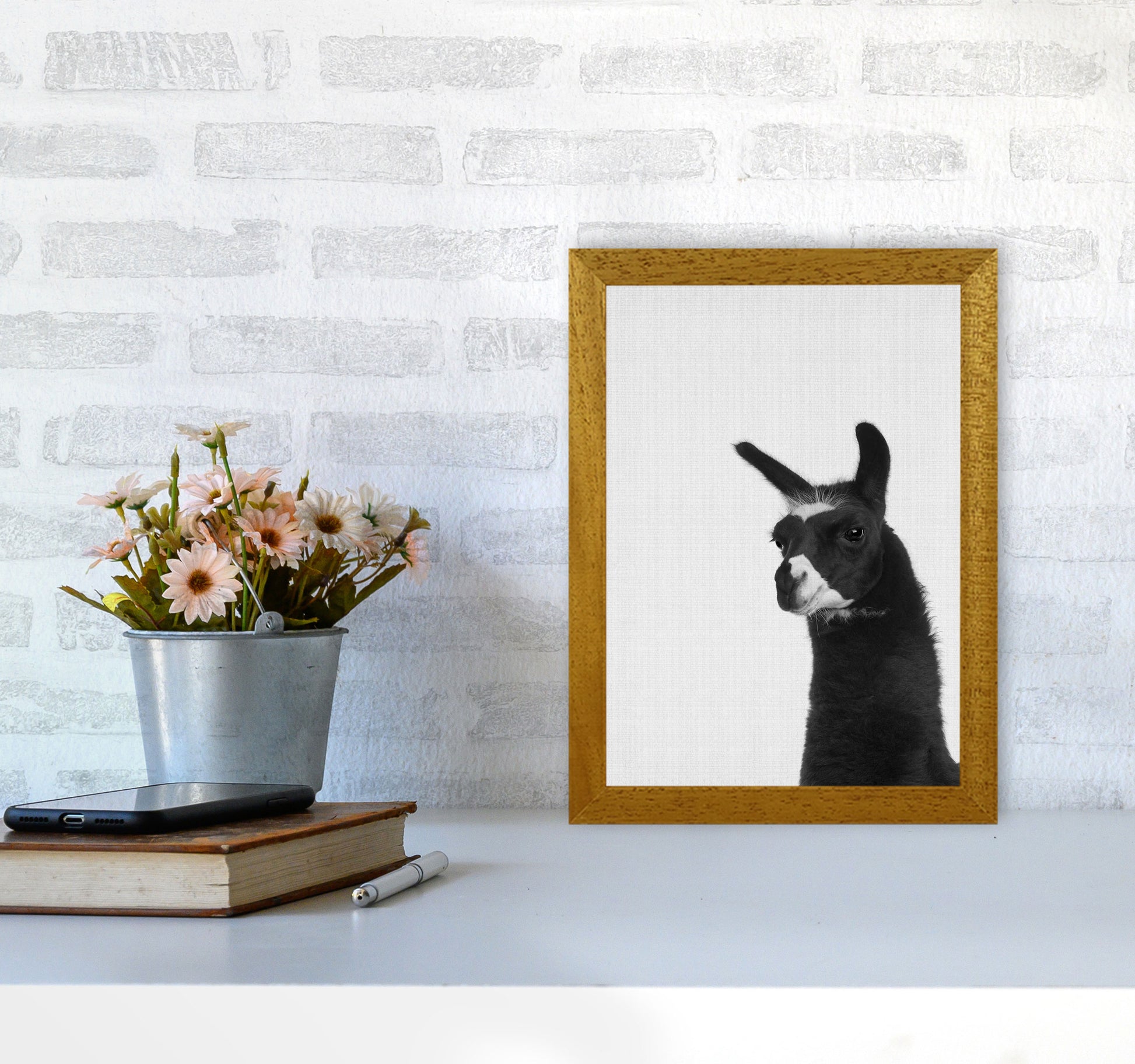 Llama #2 Art Print by Jason Stanley A4 Print Only