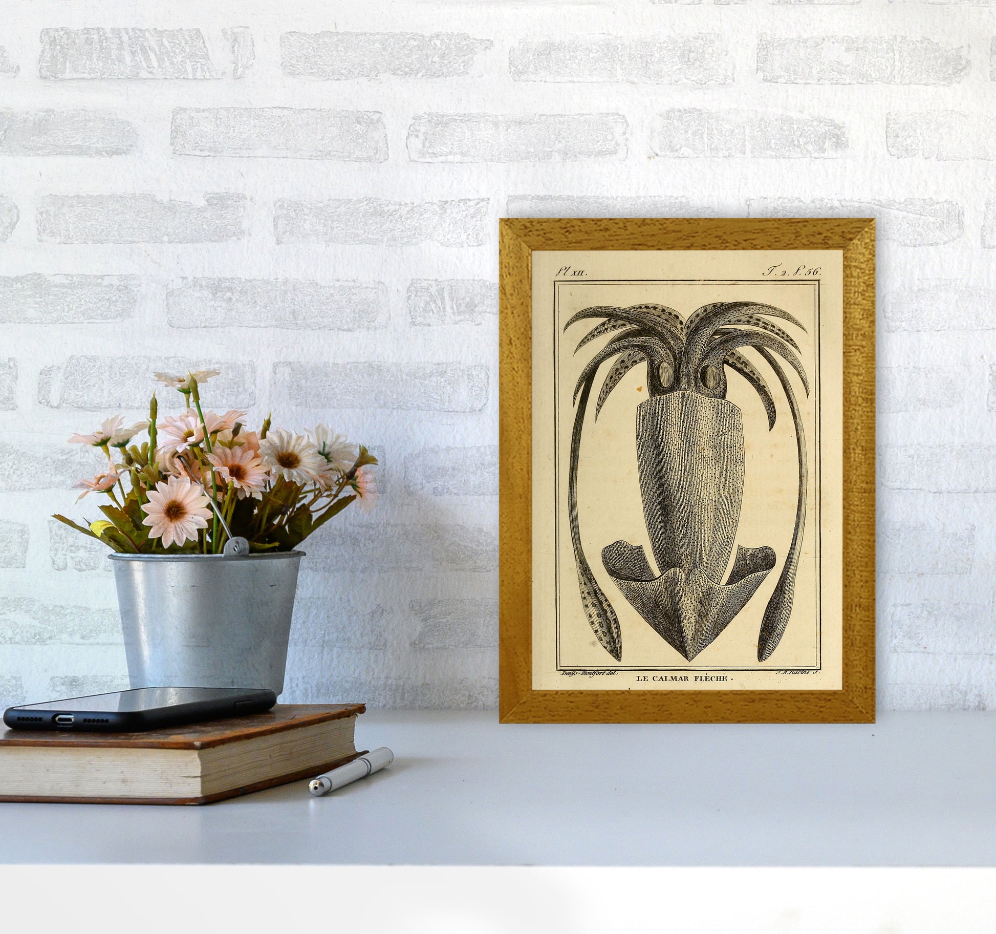 Vintage Squid 2 Art Print by Jason Stanley A4 Print Only