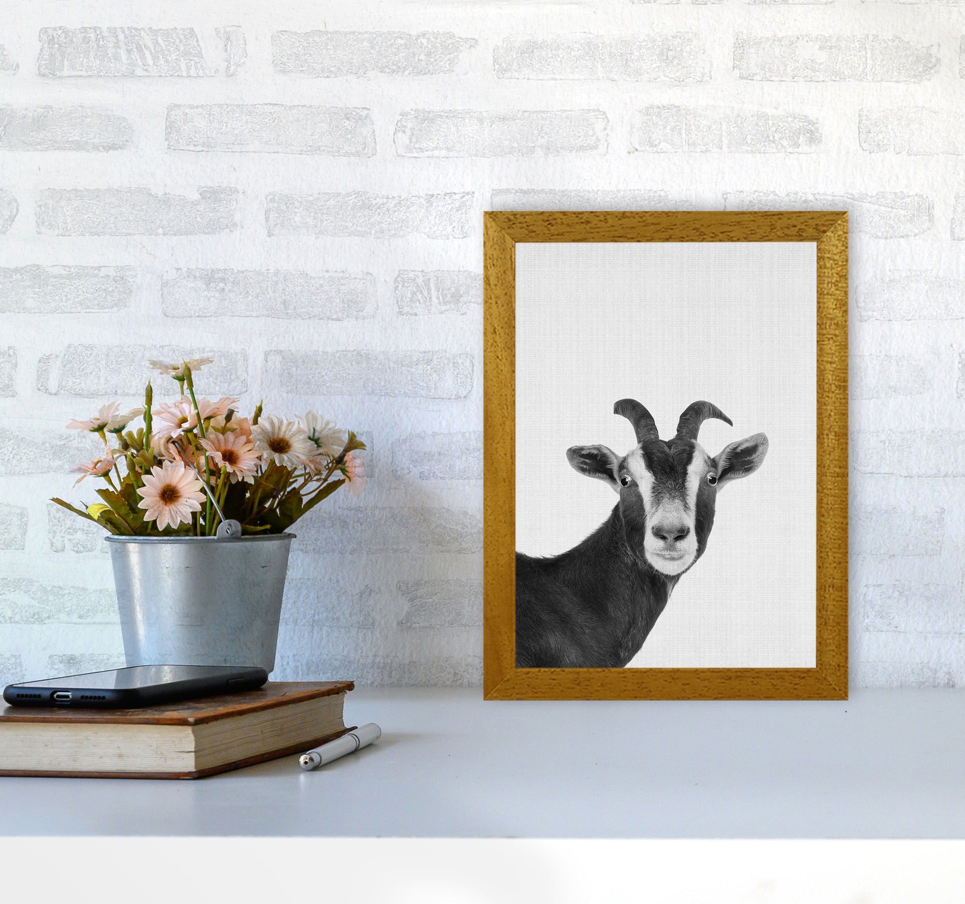 Surprised Goat Art Print by Jason Stanley A4 Print Only