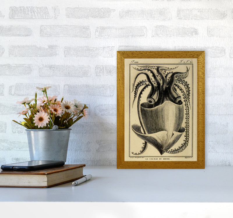 Vintage Squid Art Print by Jason Stanley A4 Print Only