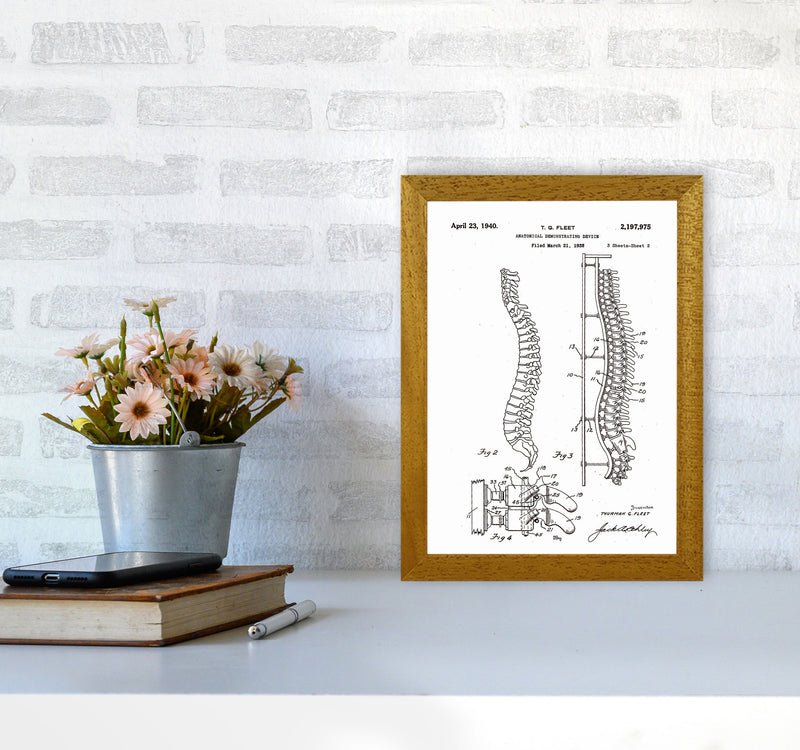 Anatomical Spine Display Patent Art Print by Jason Stanley A4 Print Only