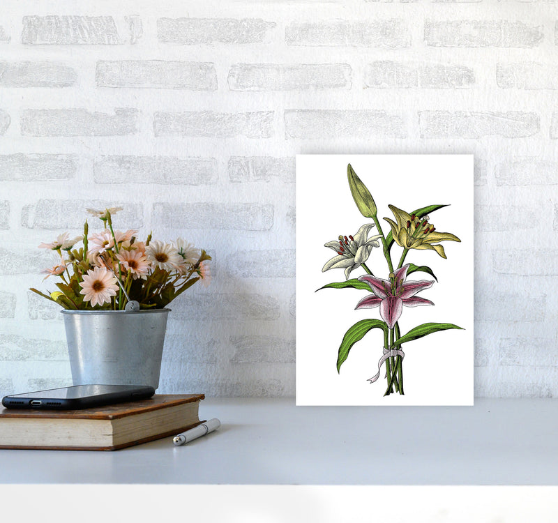 Vintage Lilly Illustration Art Print by Jason Stanley A4 Black Frame