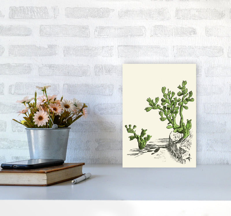 Prickly Pear Cactus Art Print by Jason Stanley A4 Black Frame
