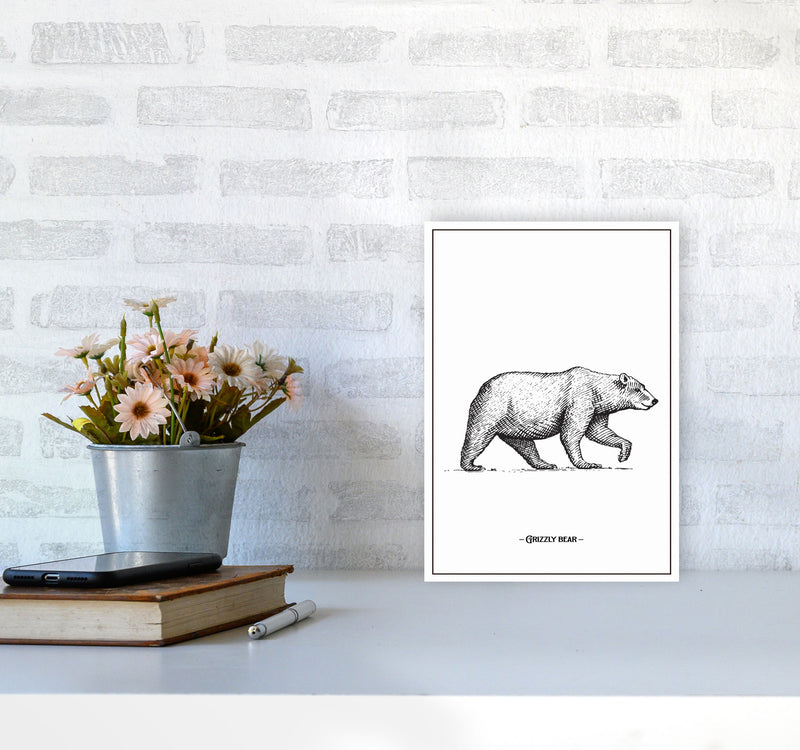 Grizzly Bear Art Print by Jason Stanley A4 Black Frame