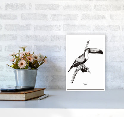 Tucan Art Print by Jason Stanley A4 Black Frame