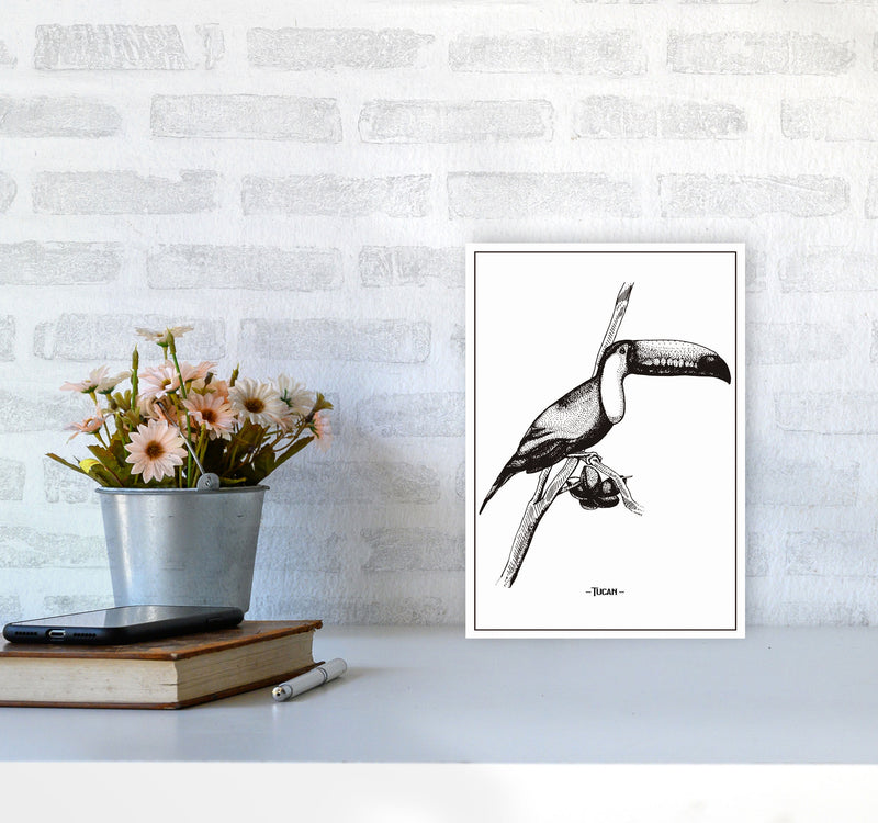 Tucan Art Print by Jason Stanley A4 Black Frame
