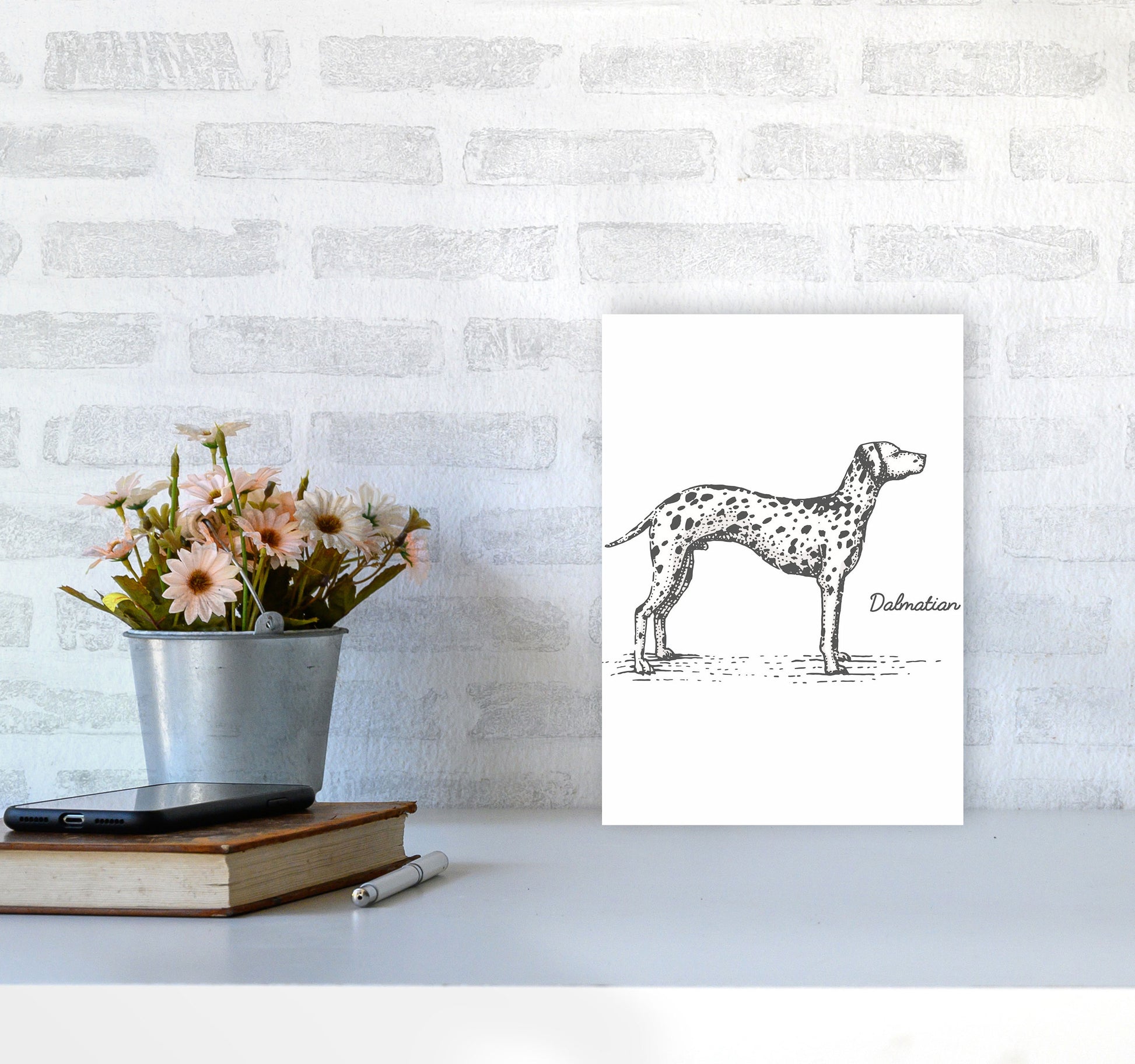 Dalmation Art Print by Jason Stanley A4 Black Frame