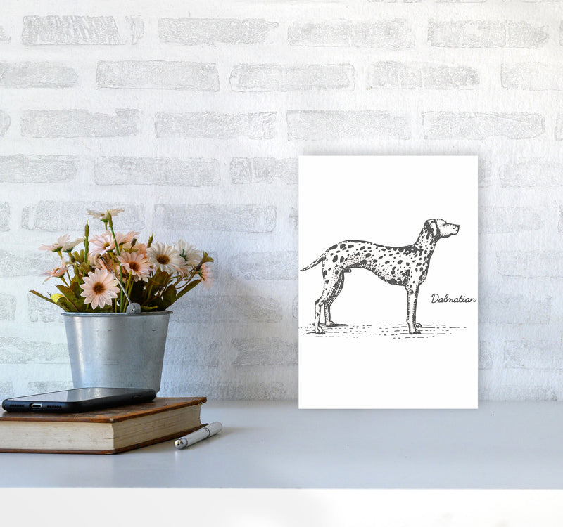 Dalmation Art Print by Jason Stanley A4 Black Frame