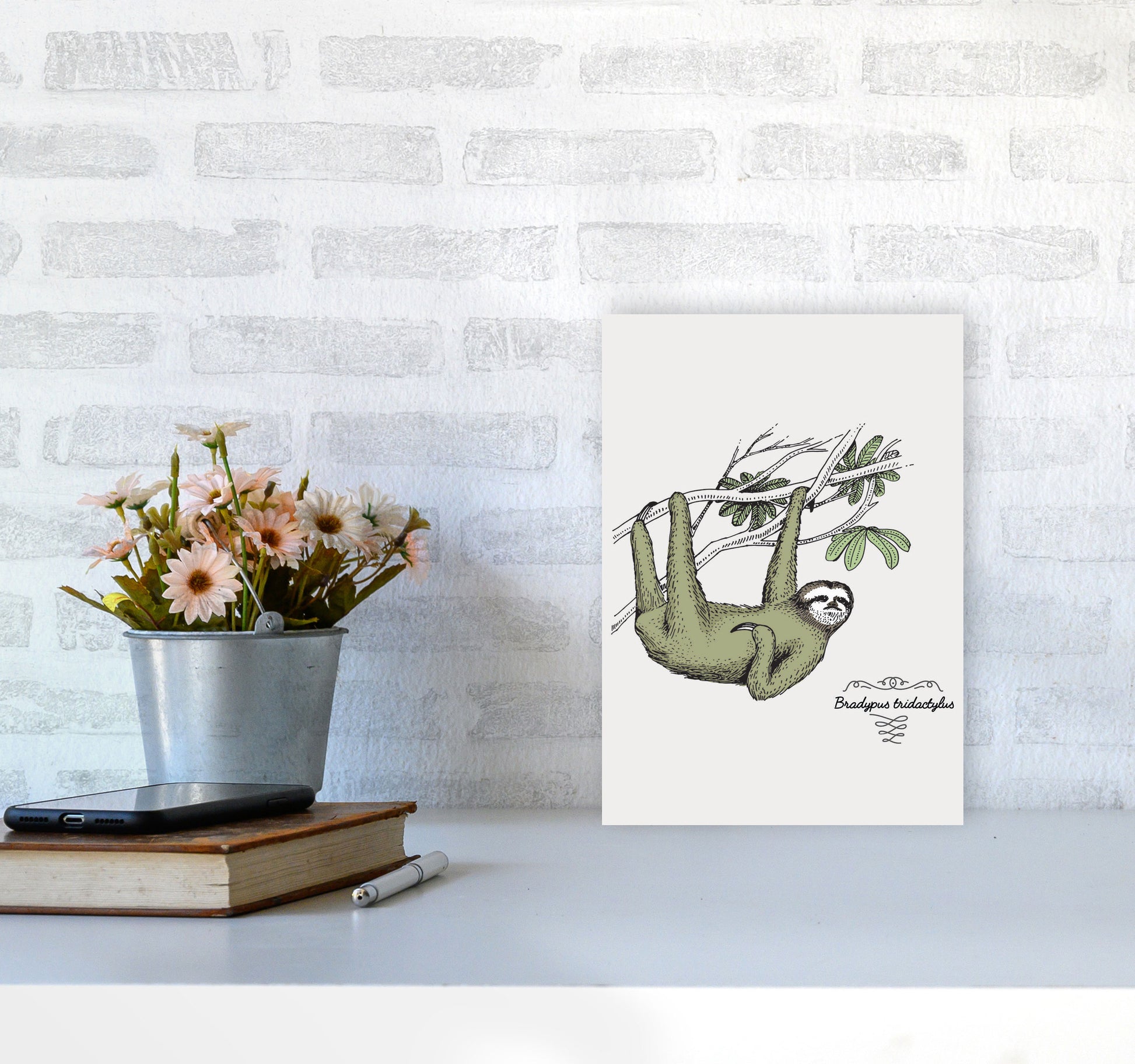 Sloth Art Print by Jason Stanley A4 Black Frame