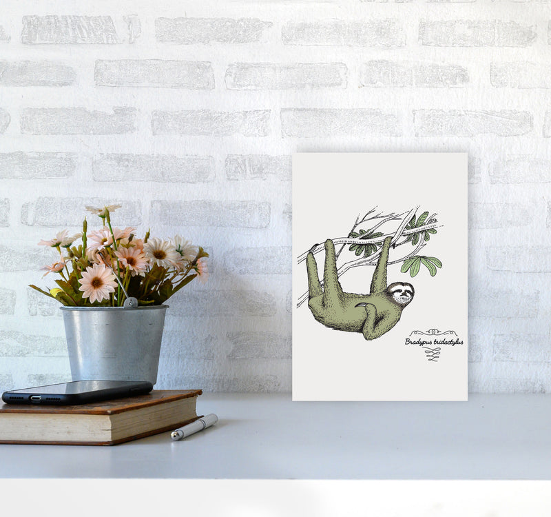 Sloth Art Print by Jason Stanley A4 Black Frame