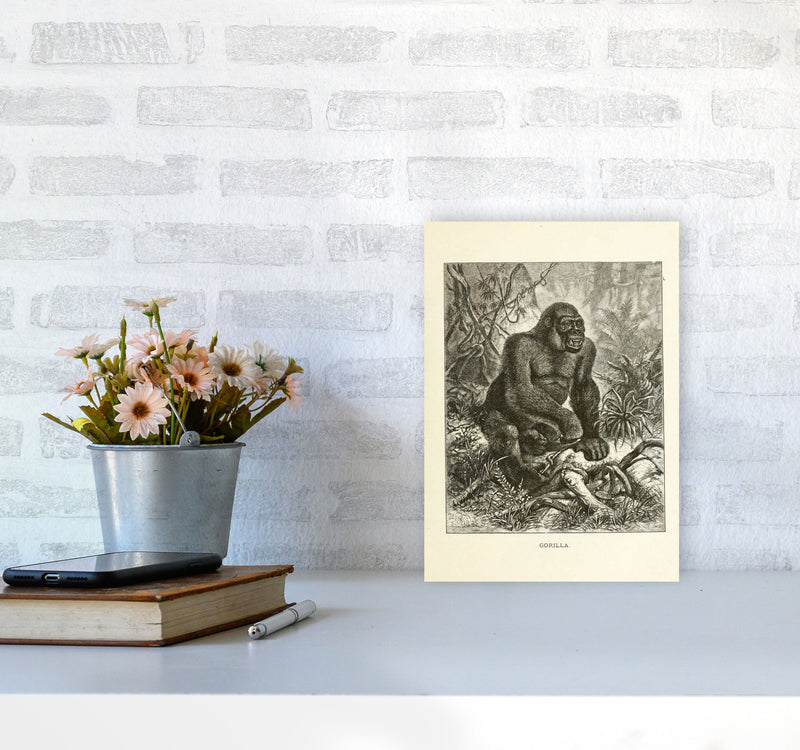 The Other King Of The Jungle Art Print by Jason Stanley A4 Black Frame