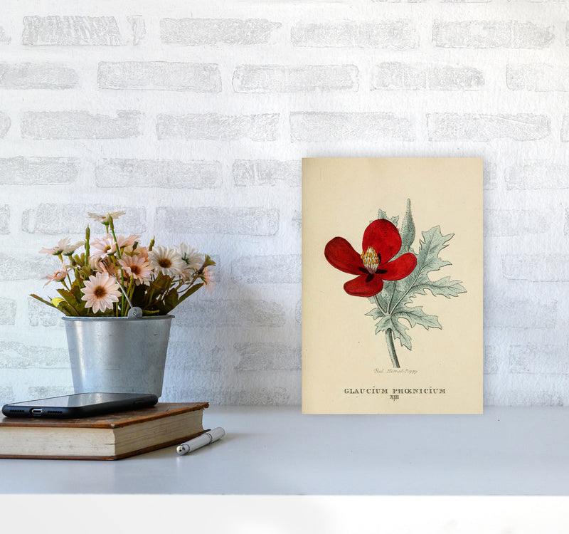 Vintage Flower Series 2 Art Print by Jason Stanley A4 Black Frame
