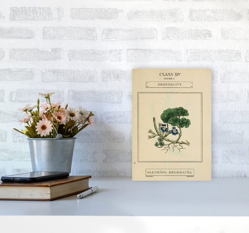 Vintage Flower Series 8 Art Print by Jason Stanley A4 Black Frame