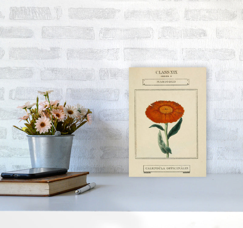 Vintage Flower Series 9 Art Print by Jason Stanley A4 Black Frame