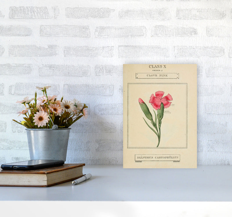 Vintage Flower Series 4 Art Print by Jason Stanley A4 Black Frame
