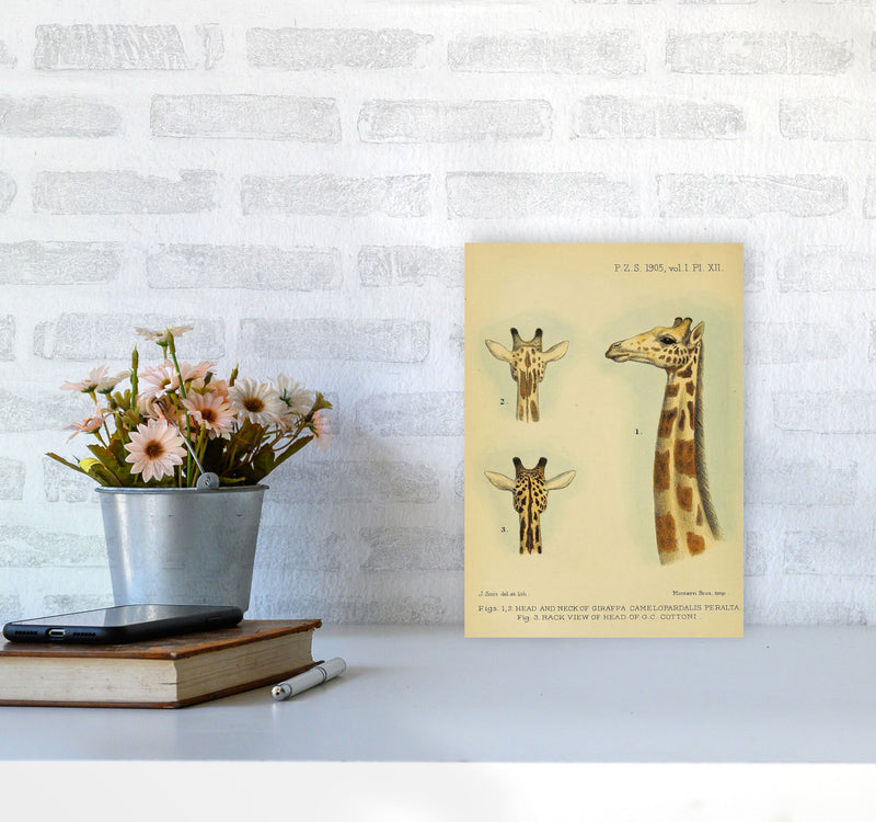 Longest Neck In The Jungle Art Print by Jason Stanley A4 Black Frame