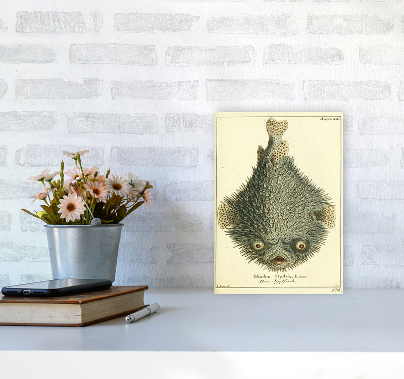 Vintage Japanese Fish Art Print by Jason Stanley A4 Black Frame