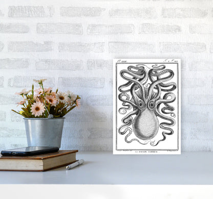 White Vintage Octopus Art Print by Jason Stanley A4 Black Frame