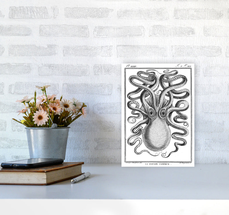 White Vintage Octopus Art Print by Jason Stanley A4 Black Frame