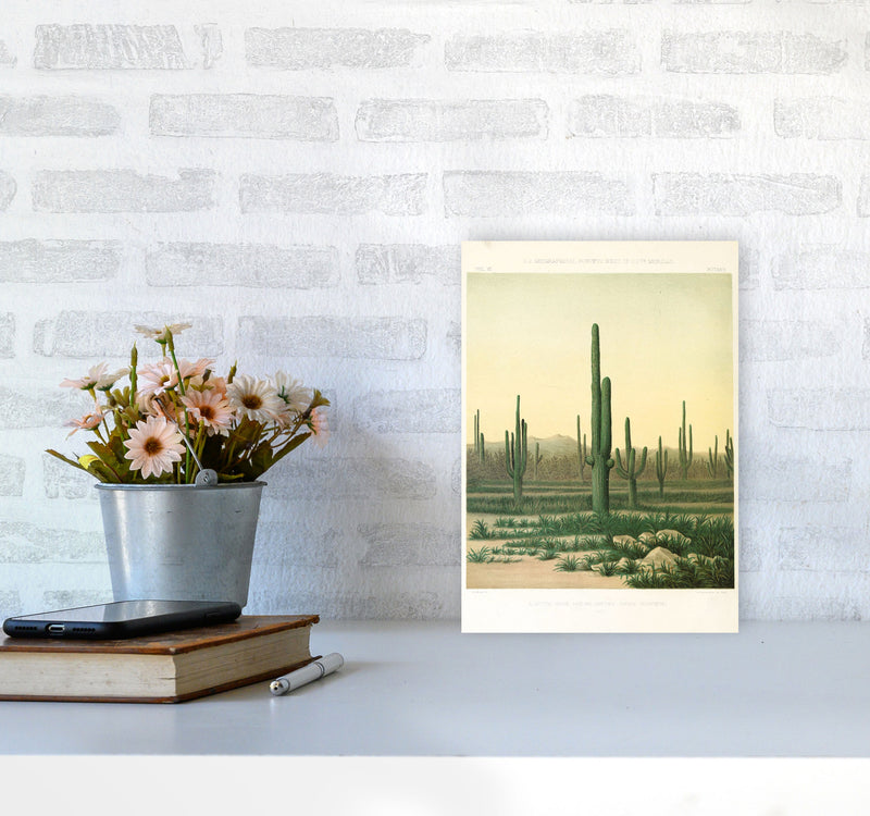 Vintage Desert Cactus Art Print by Jason Stanley A4 Black Frame
