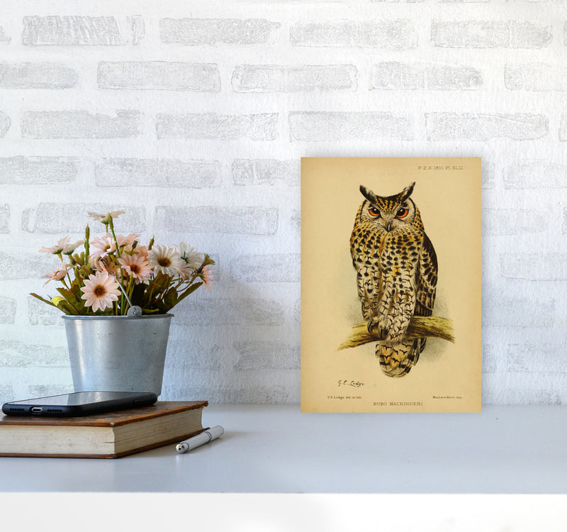 Vintage Owl Copy Art Print by Jason Stanley A4 Black Frame