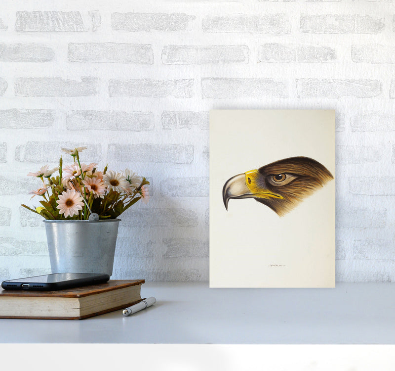 Vintage Eagle Face Art Print by Jason Stanley A4 Black Frame