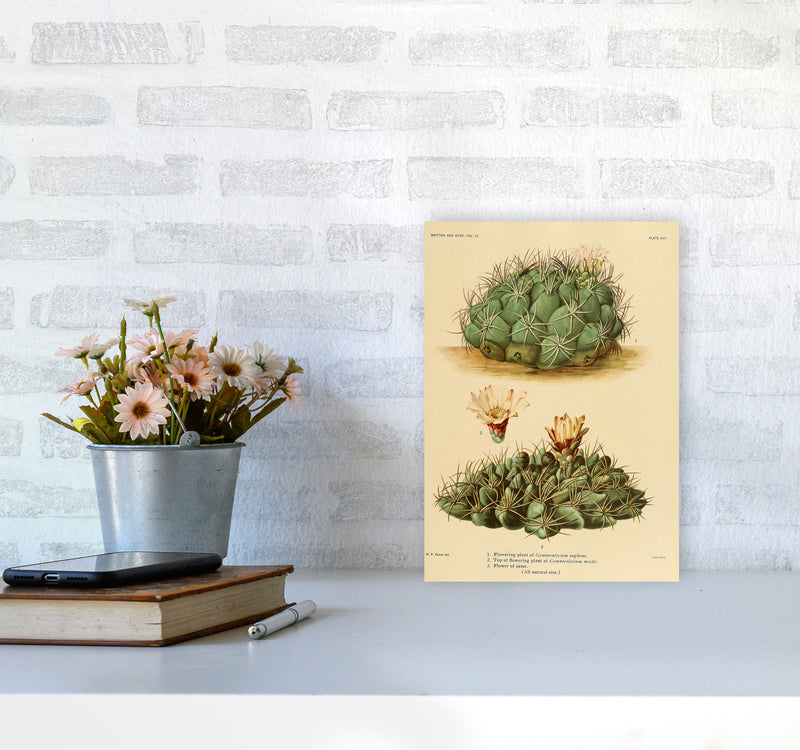 Cactus Series 12 Art Print by Jason Stanley A4 Black Frame