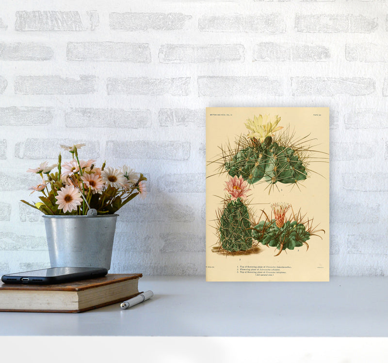 Cactus Series 11 Art Print by Jason Stanley A4 Black Frame
