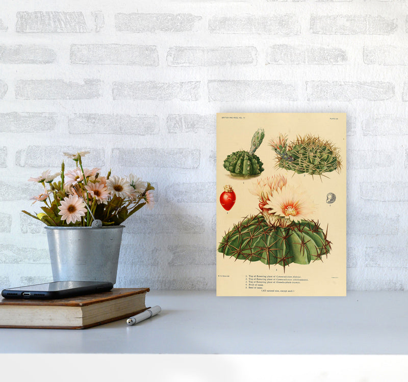 Cactus Series 14 Art Print by Jason Stanley A4 Black Frame