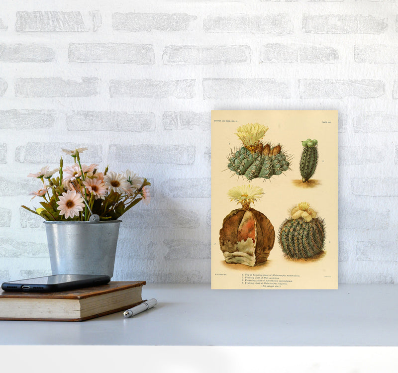Cactus Series 16 Art Print by Jason Stanley A4 Black Frame