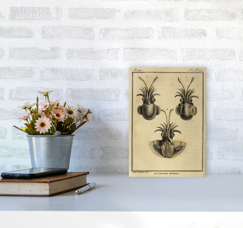 Vintage Squid 3 Art Print by Jason Stanley A4 Black Frame