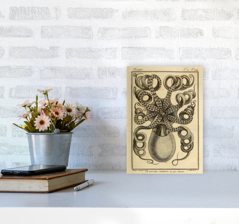 Vintage Octopus Art Print by Jason Stanley A4 Black Frame
