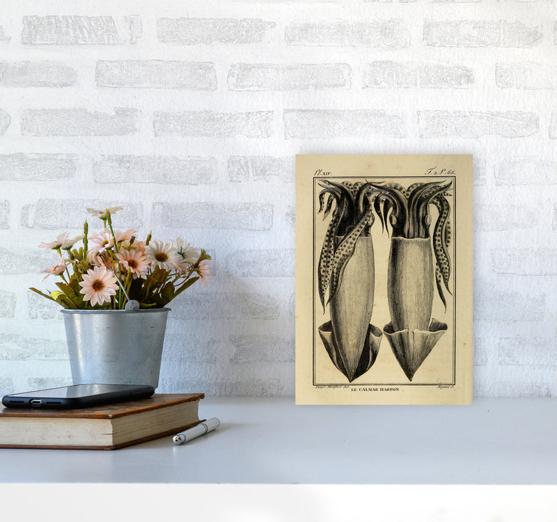 Vintage Squid 5 Art Print by Jason Stanley A4 Black Frame
