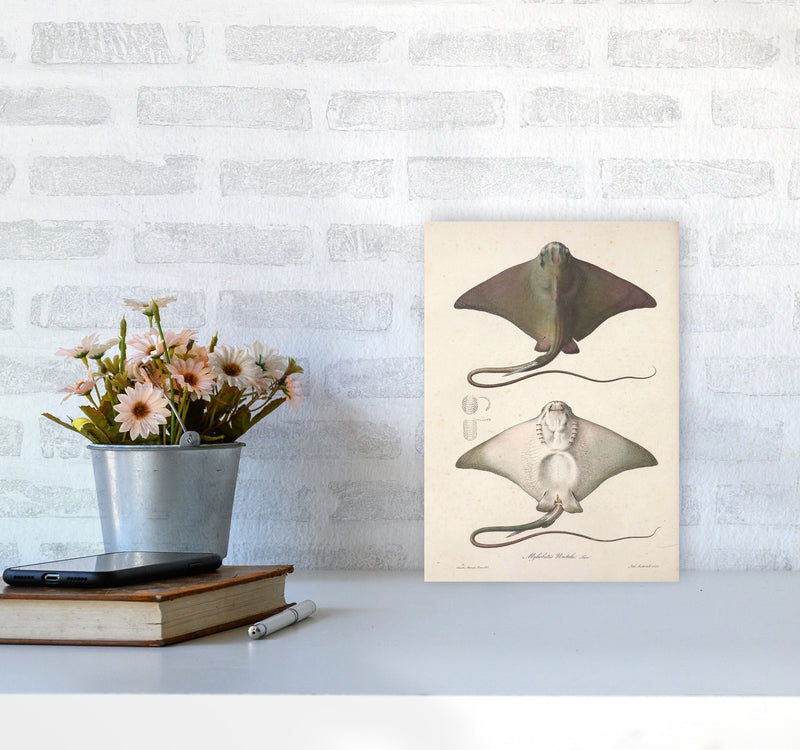 Vintage Stingray Art Print by Jason Stanley A4 Black Frame