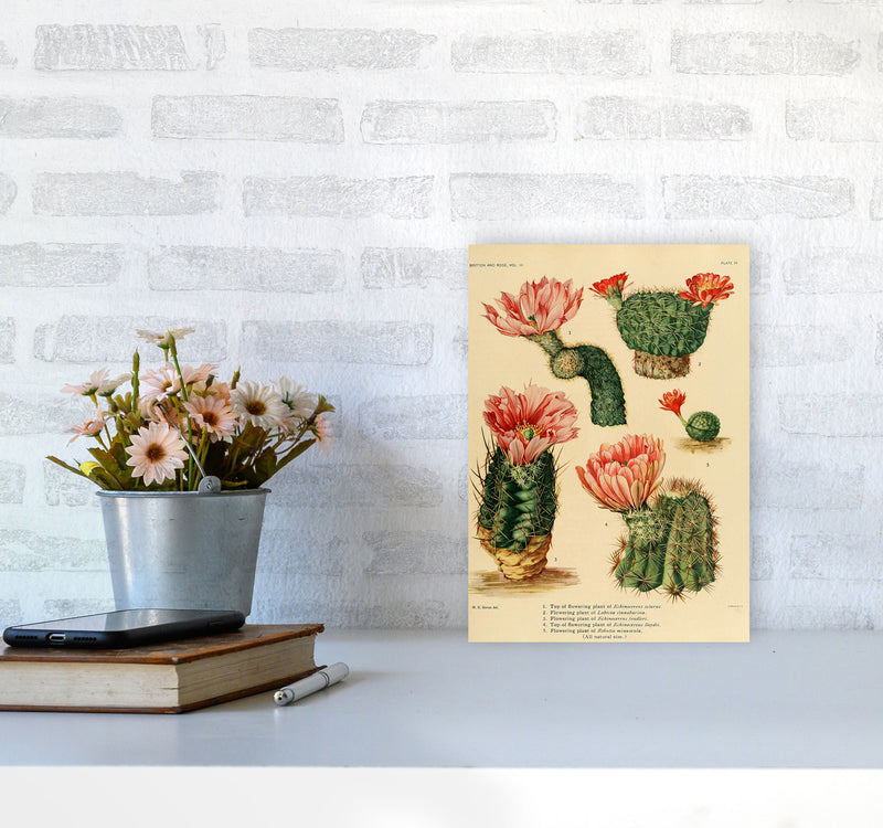 Cactus Series 3 Art Print by Jason Stanley A4 Black Frame